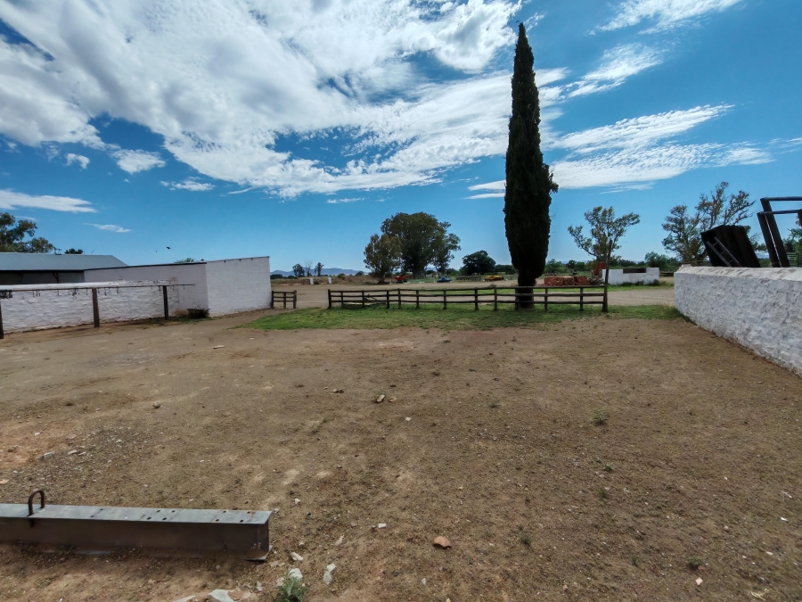 4 Bedroom Property for Sale in Steynsburg Eastern Cape